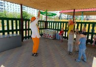 img (5)